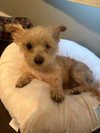 George