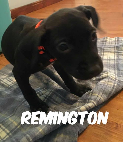 Remington