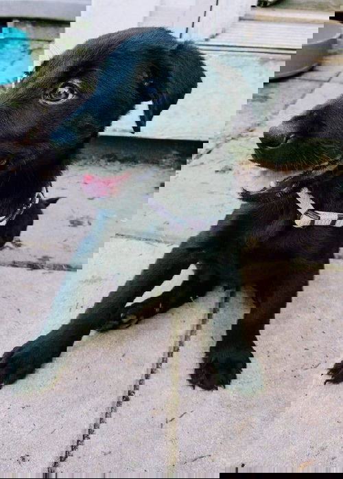 Cruz