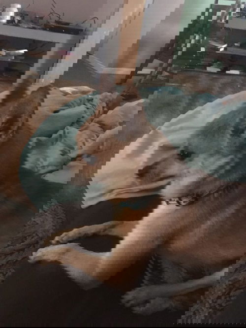 Copper