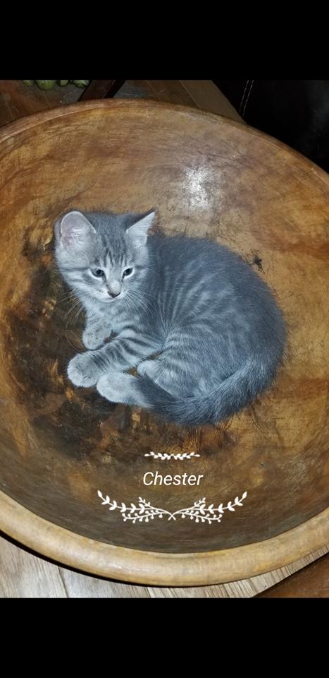 Chester