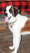 Lucy