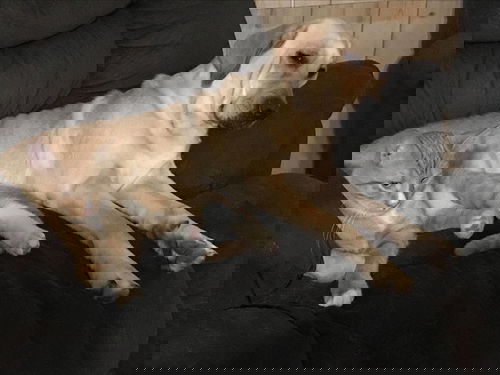 Marley