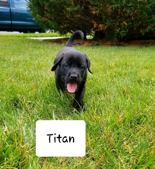 Titan