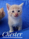 Chester