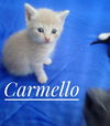 Carmello