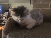 Lucy
