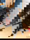 Crash