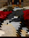 Crash