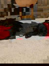 Crash