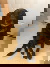 Crash