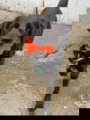 Crash