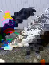 Crash
