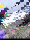 Crash