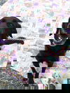 Crash