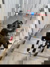 Crash