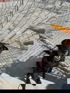 Crash