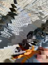 Crash
