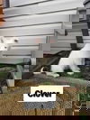 Clover