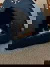 Blitzen