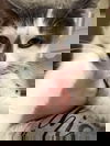 Cori