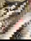 Cori