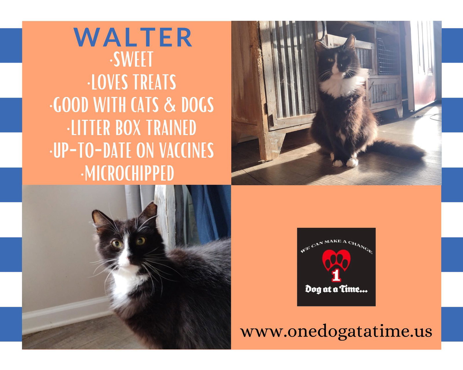 Walter Image