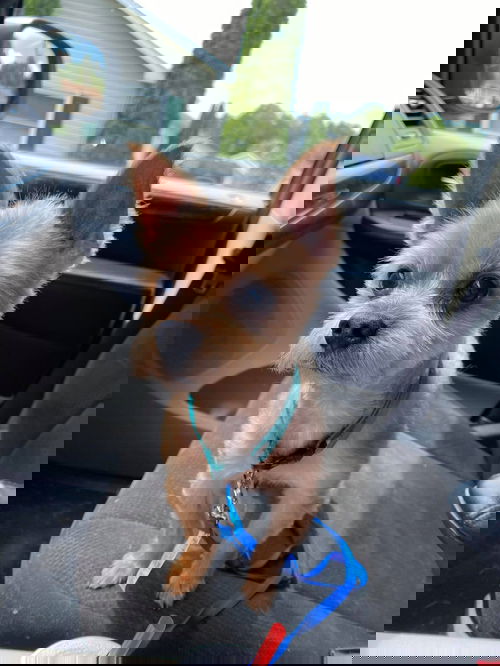 Max