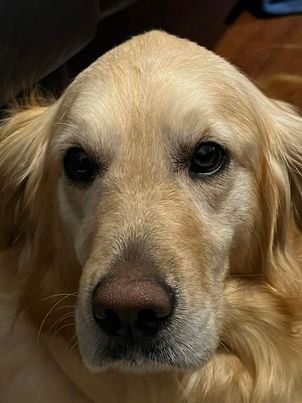 Cheyannie