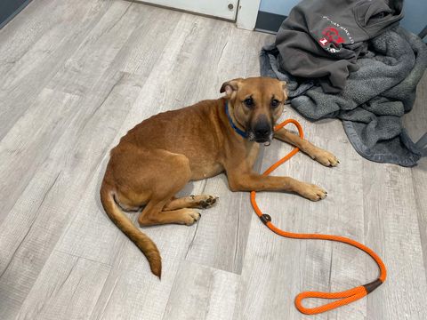 Myla, photo 13