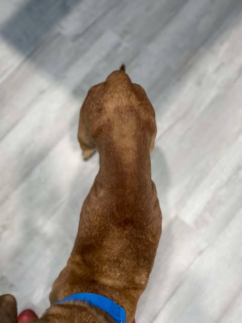 Myla, photo 24