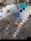KEVIN