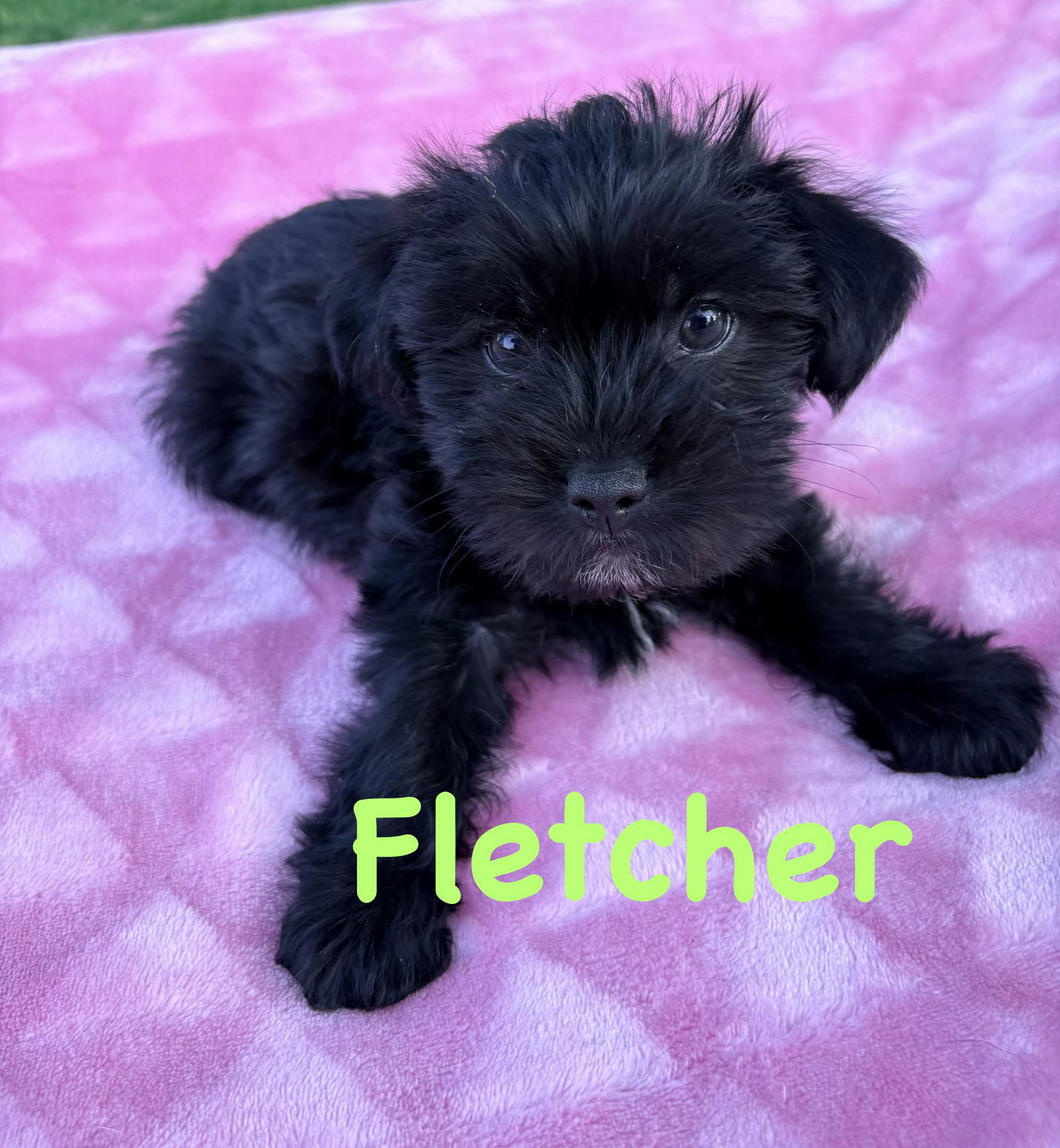 Fletcher
