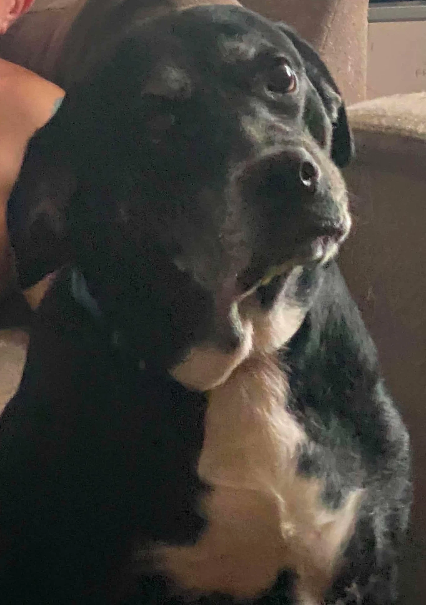 Chloe