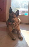 Barron