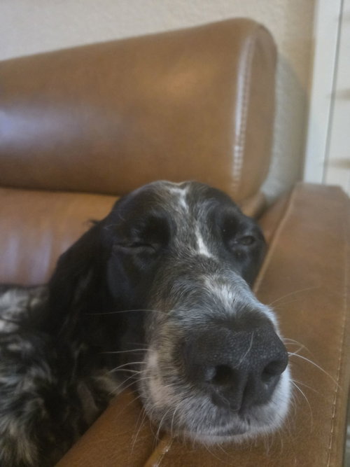 Bizzie photo 4
