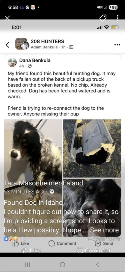 Taco Dogler photo 5