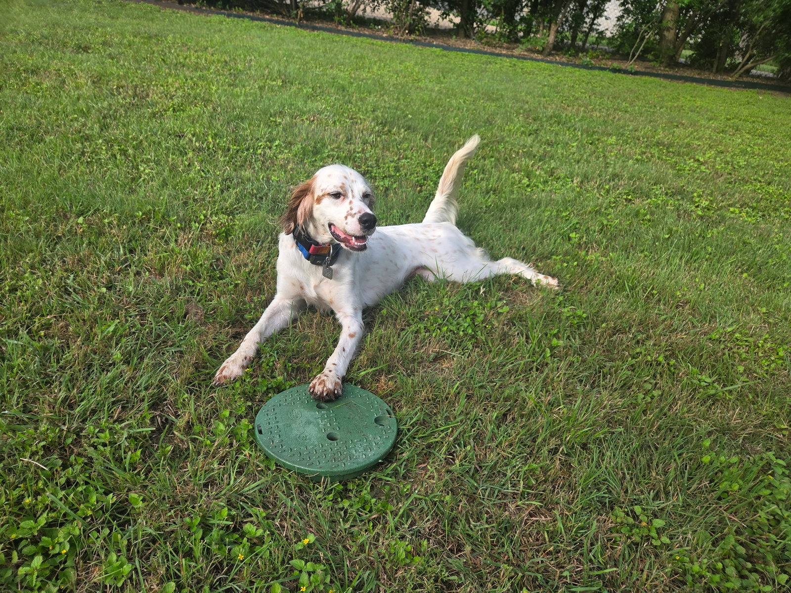 Mya, photo 8