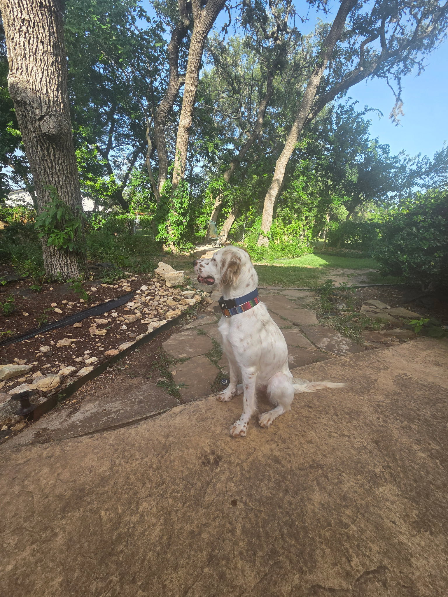 Mya, photo 10