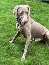 Storm - Photo 8