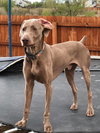 Storm - Photo 2