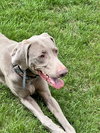 Storm - Photo 6