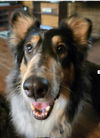 Charlee Girl