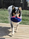 Charlee Girl