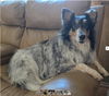 Charlee Girl