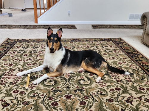 Jax