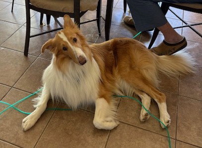 Roscoe