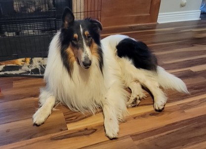 Finnegan