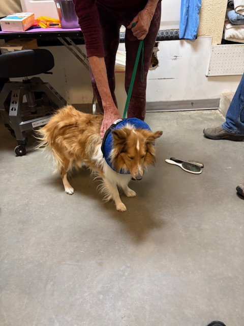 Lennox