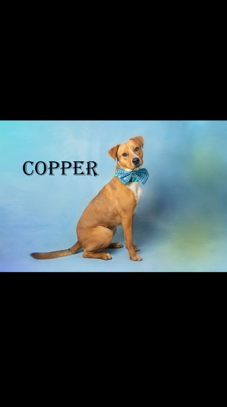 Copper
